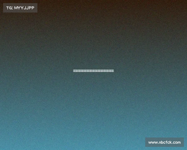 法甲联赛的崛起与发展：从传统豪门到新兴强队的精彩博弈