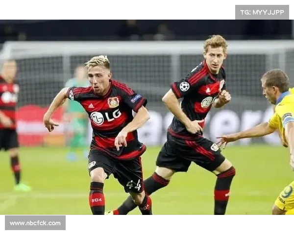 德甲赛场VAR技术应用规则解析与实施细则探讨 德甲赛场VAR技术应用规则解析与实施细则探讨